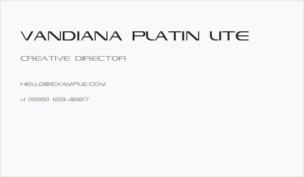 Vandiana Platin Lite Business Card