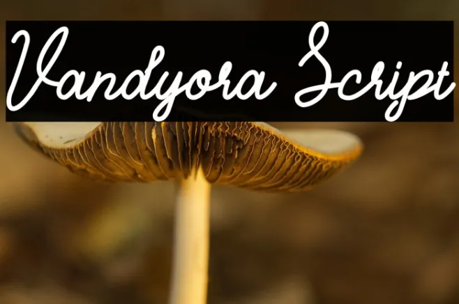 Vandyora Script Example 2