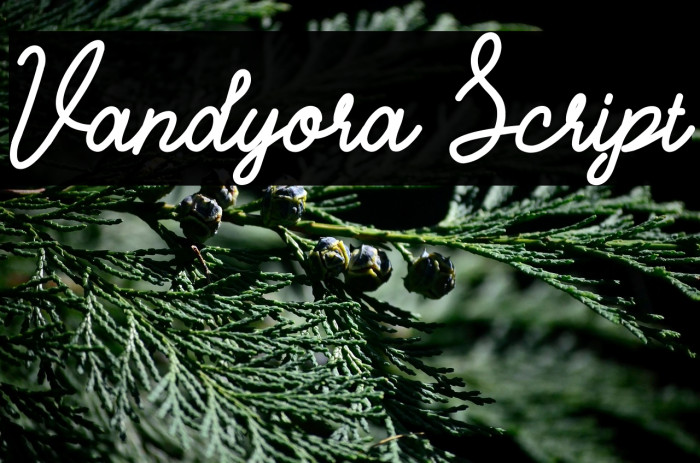 Vandyora Script Example 3