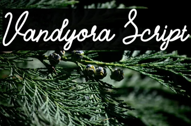 Vandyora Script Example 3