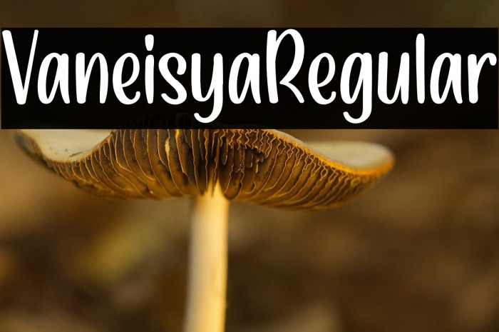 VaneisyaRegular Example 2