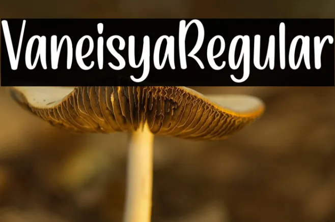 VaneisyaRegular Example 2