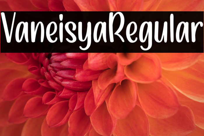 VaneisyaRegular Example 3