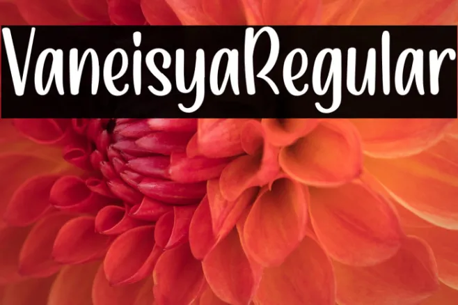 VaneisyaRegular Example 3