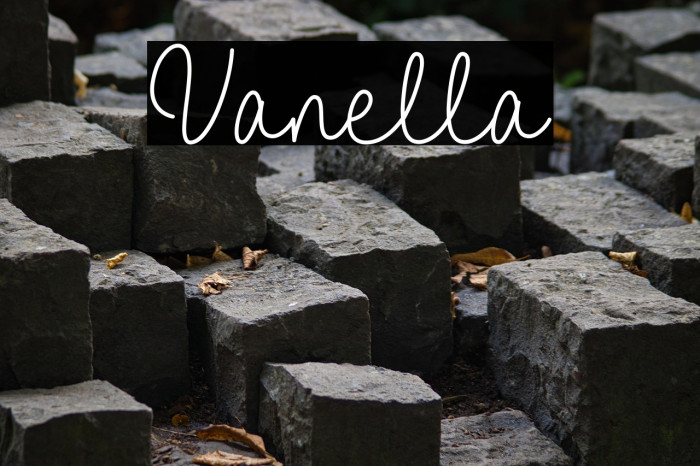 Vanella Example 1