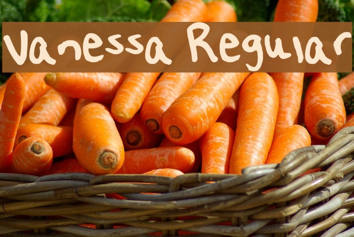 Vanessa Regular Font examples