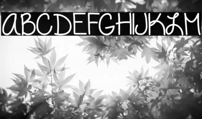 VanessaLovesYou Fonte examples