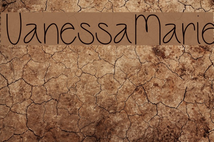 VanessaMarie Font examples