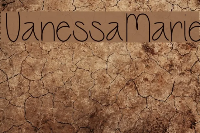 VanessaMarie Example 1