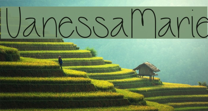 VanessaMarie Font examples