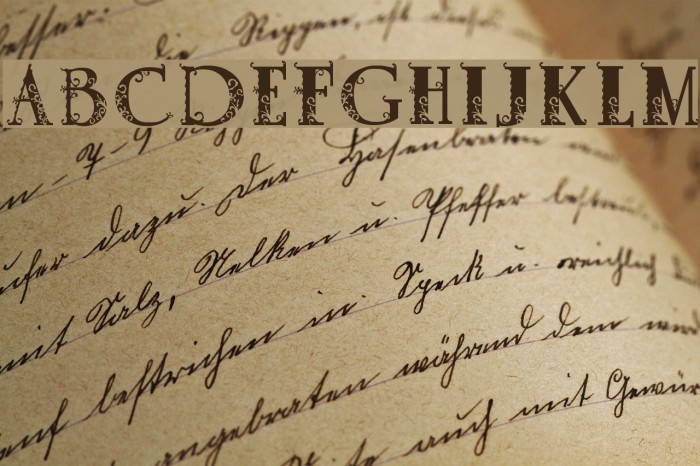 Vanessa Font examples