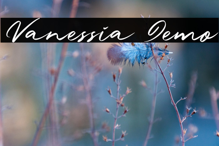 Vanessia Demo Example 3