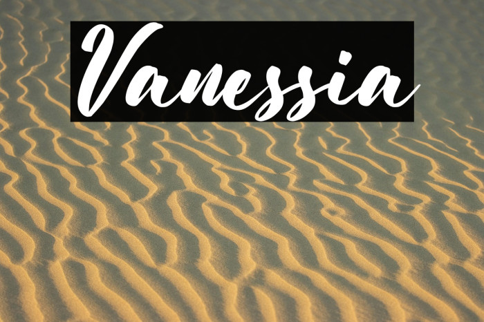 Vanessia Example 1