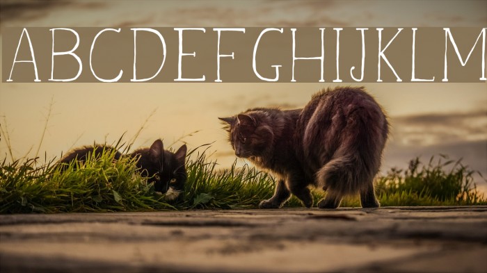 VanettDemo Font examples