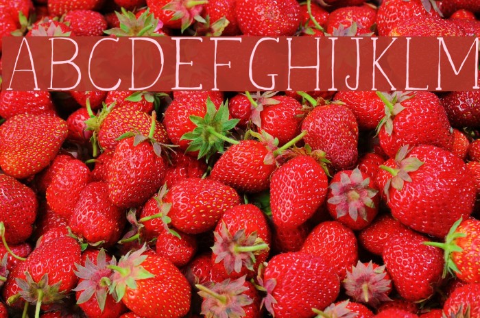 VanettDemo Font examples