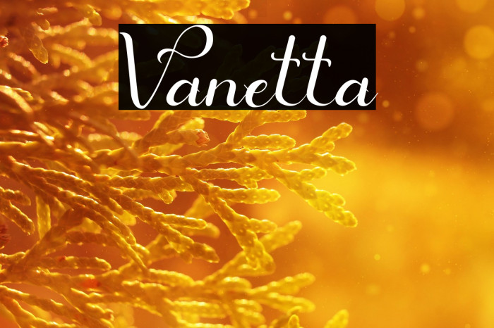 Vanetta Example 3