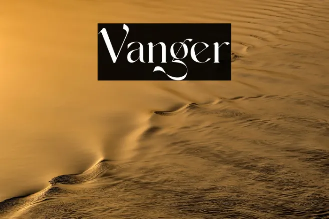 Vanger Example 1