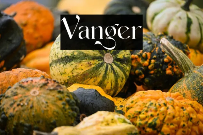 Vanger Example 2