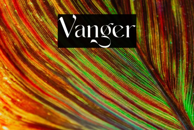 Vanger Example 3