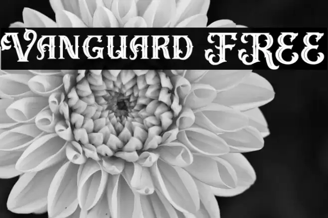 Vanguard FREE Font examples