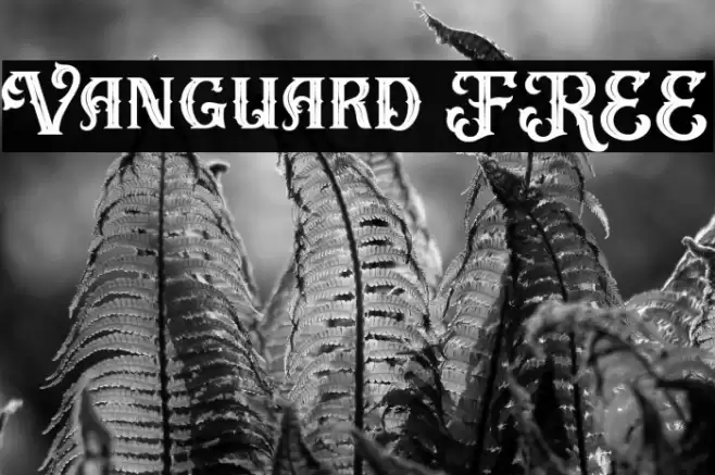 Vanguard FREE Font examples