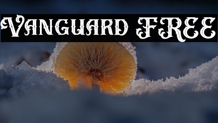 Vanguard FREE Example 3