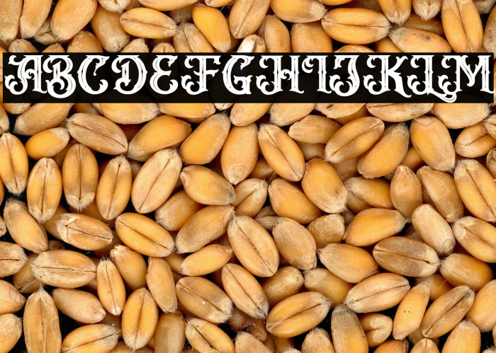 VanguardFREE Example 1