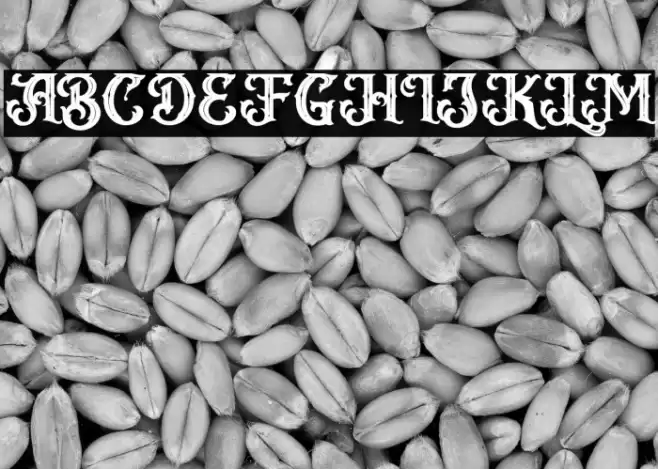 VanguardFREE Font examples