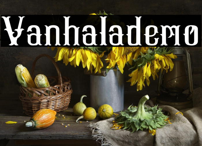 Vanhala-demo Example 1