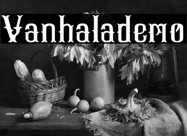 Vanhala-demo Font examples