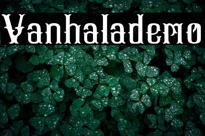 Vanhala-demo Example 2