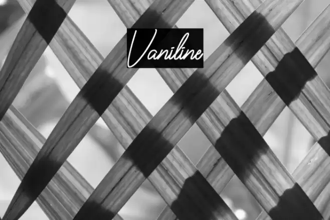 Vaniline2 Font examples