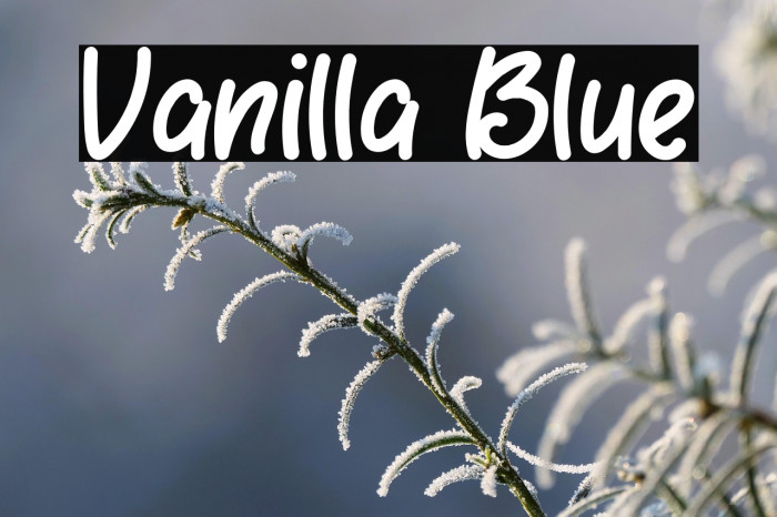 Vanilla Blue Example 1