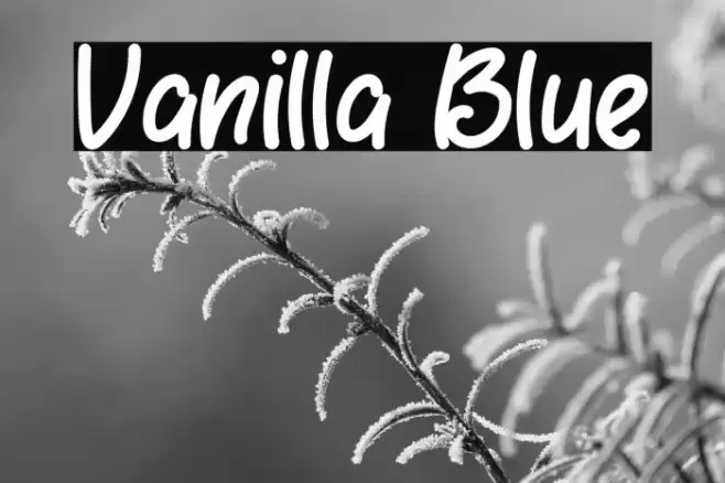 Vanilla Blue Font examples