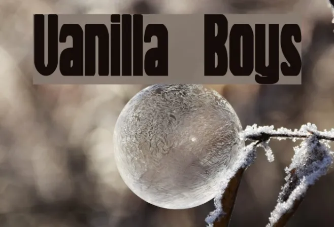 Vanilla Boys Example 1