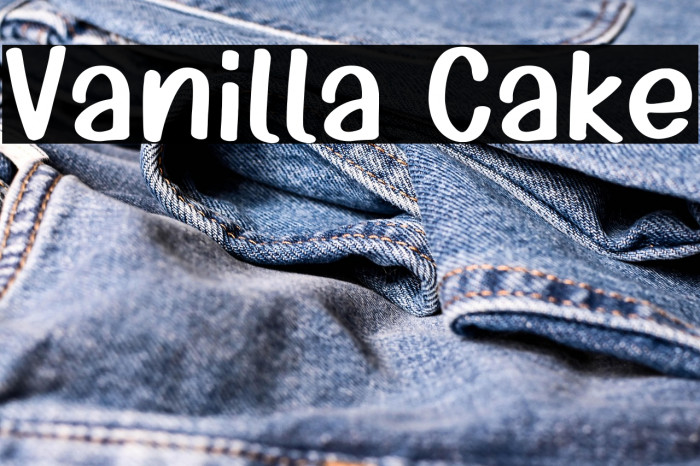 Vanilla Cake Example 3