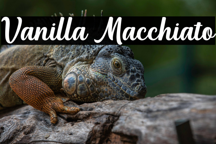 Vanilla Macchiato Example 3