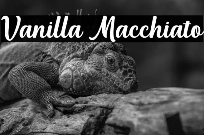 Vanilla Macchiato Font examples