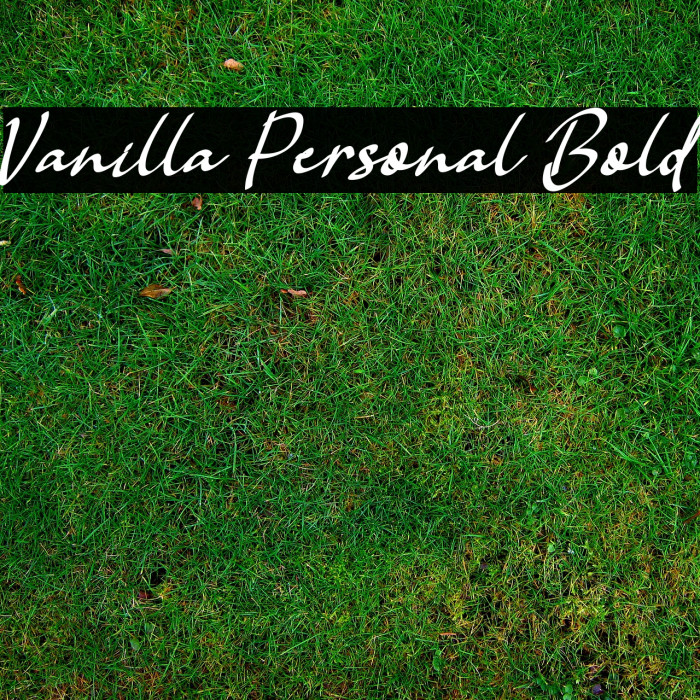 Vanilla Personal Bold Font examples