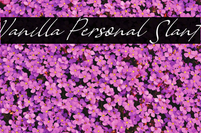 Vanilla Personal Slant Font examples