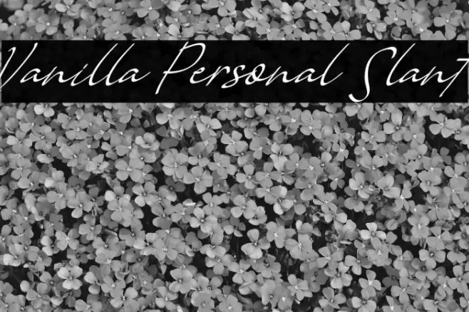 Vanilla Personal Slant Fonte examples