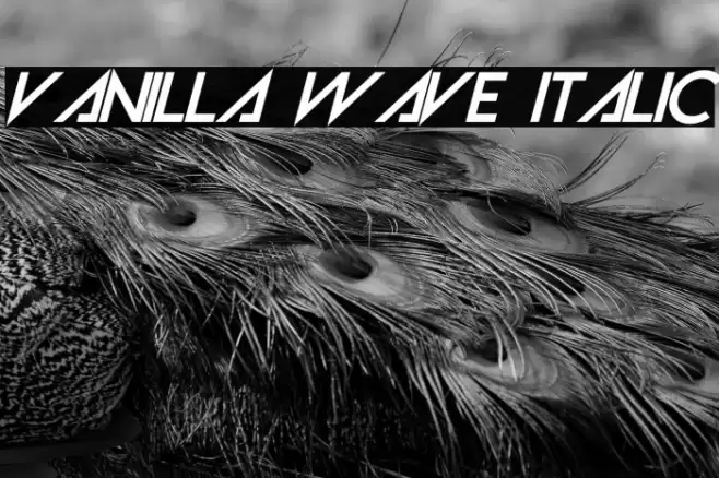 Vanilla Wave Italic Font examples