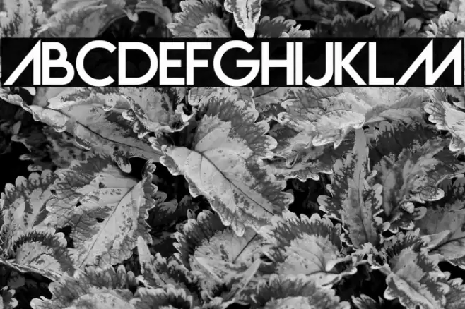 Vanilla Wave Font examples