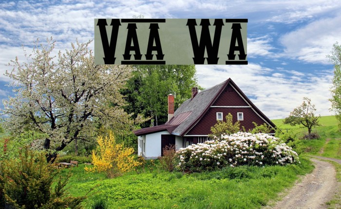 Vanilla Whale Font examples