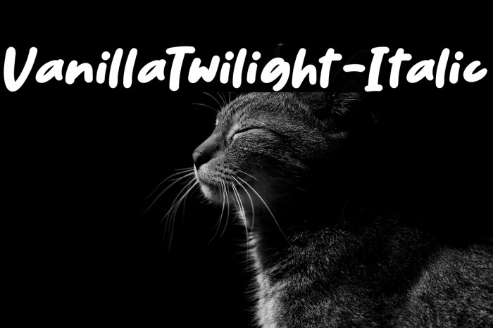 VanillaTwilight-Italic Example 1