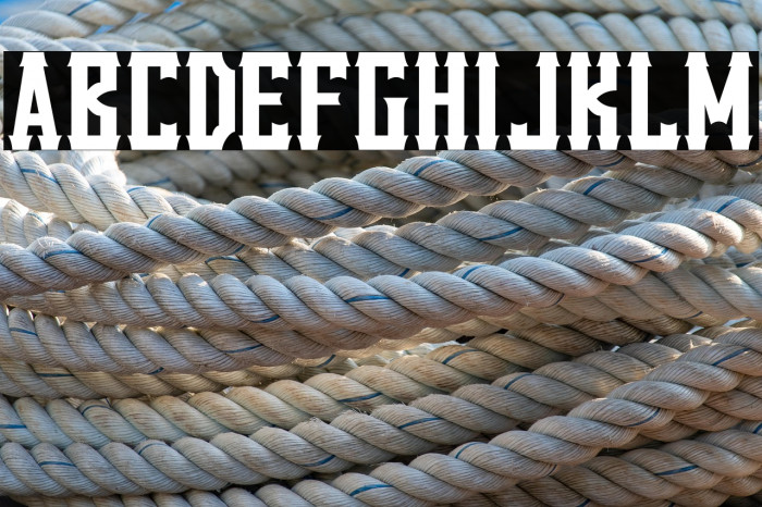 VanillaWhale-Regular Example 1