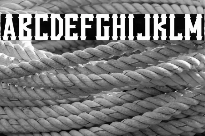 VanillaWhale-Regular Font examples