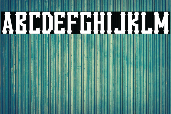 VanillaWhale-Regular Example 3