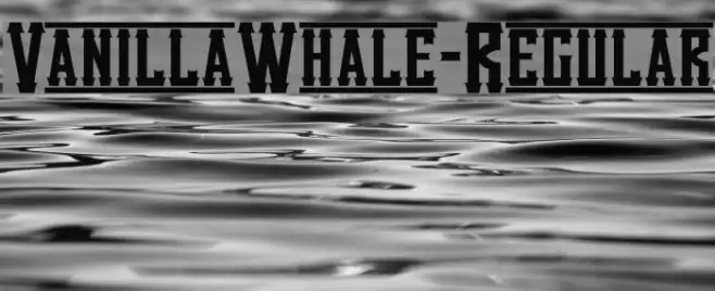 VanillaWhale-Regular Font examples