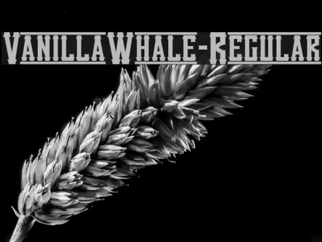 VanillaWhale-Regular Font examples